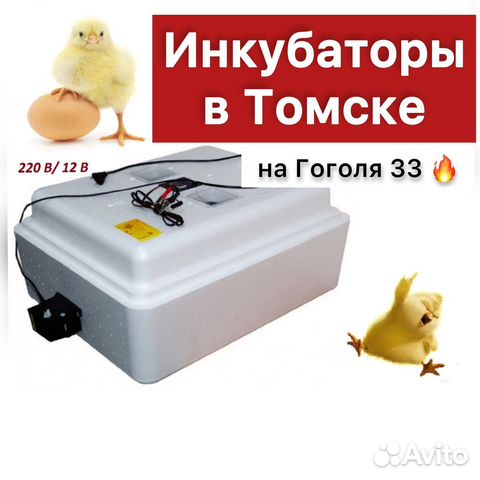 Инкубатор для яиц