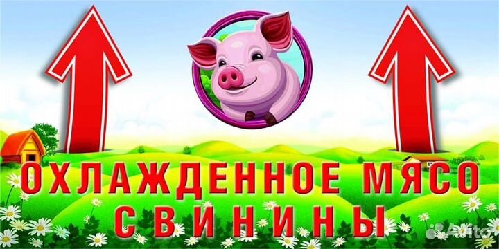 Свежее Мясо свинины полутушами и четверти Доставка