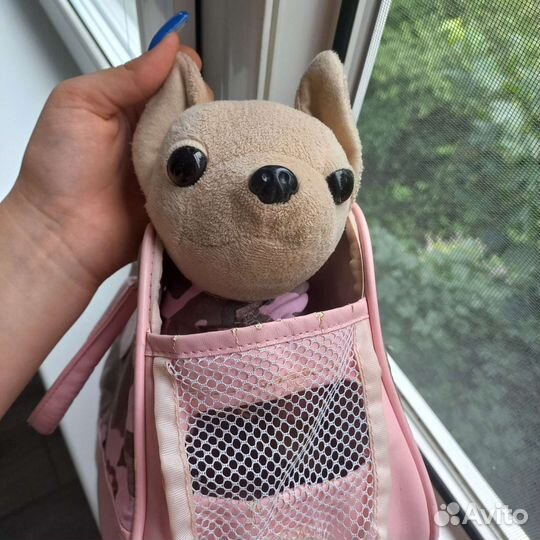Чичилав собачка в сумке