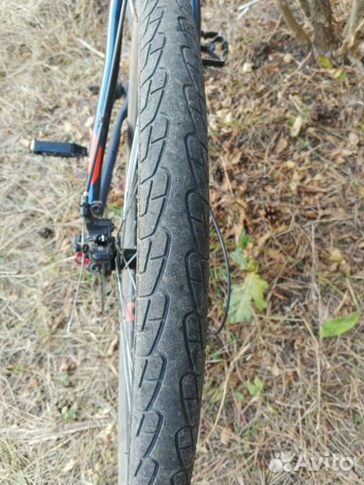 Forward Sporting 27.5 X, 19