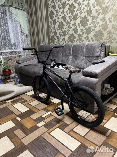 BMX WTP Crysis 2020 21 “TT