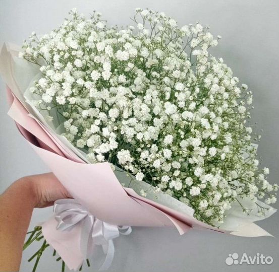 Гипсофила оптом