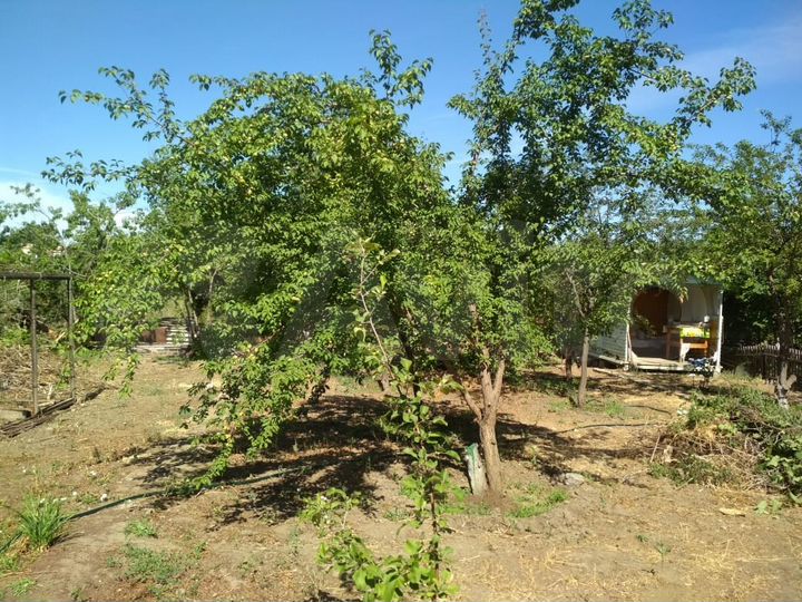 Дача 20 м² на участке 5 сот.