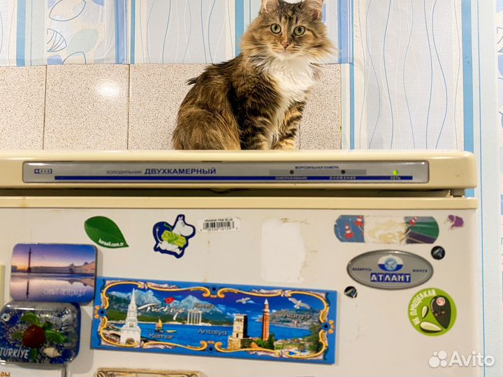 Холодильник атлант двухкамерный