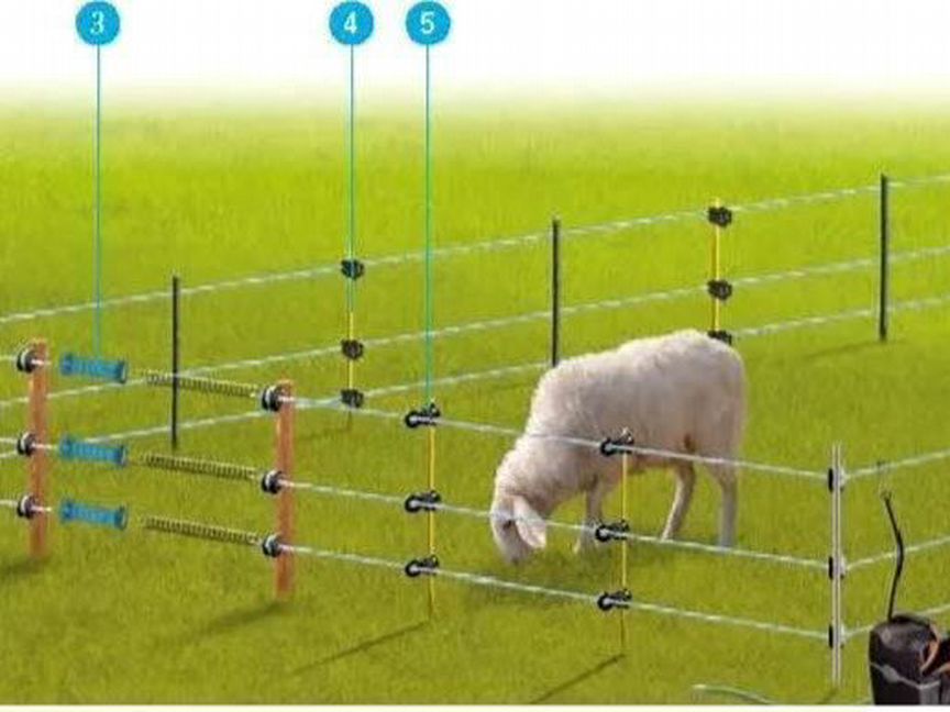Электропастух с завода для телят, коз и овец