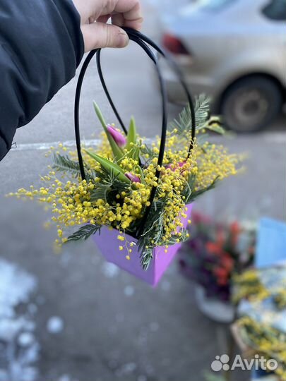 Тюльпаны к 8 марта