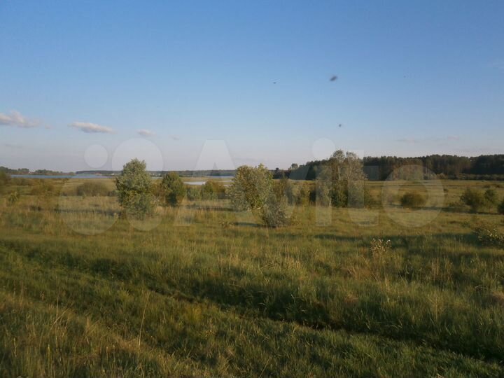 Участок 12 сот. (ИЖС)