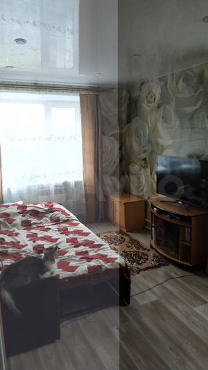 2-к. квартира, 43,4 м², 1/2 эт.