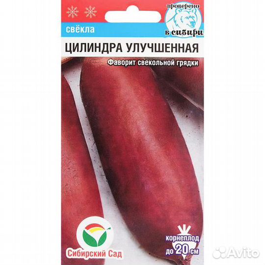 Свекла Цилиндра улучшенная