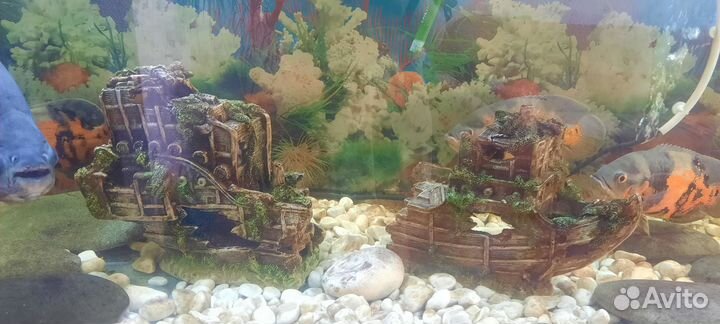 Аквариум с рыбами и всем необходимом бу