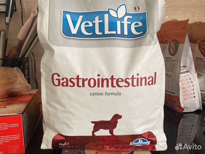 Корм доя собак farmina gastrointestinal