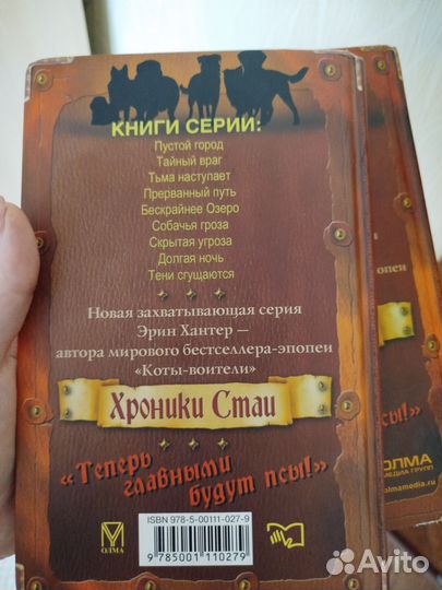 Первые две книги из серии 