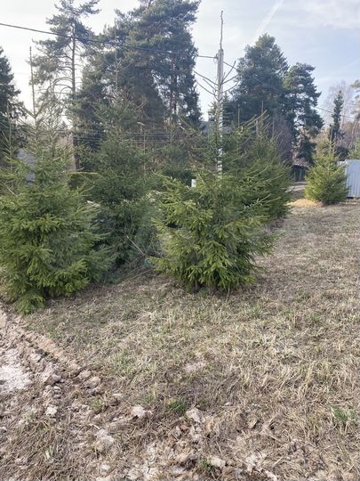 Участок 14 сот. (ИЖС)