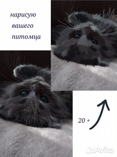 Нарисую вашего питомца