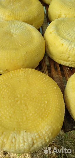 Сыр Адыгейский домашний