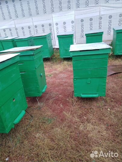 Ульи для пчёл