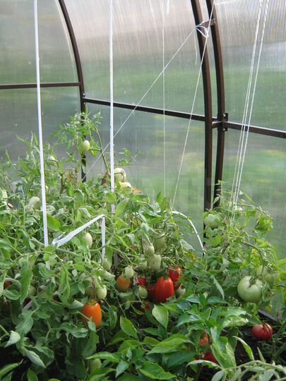 Дом 87,4 м² на участке 7,2 сот.