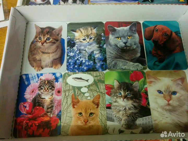 Календарики маленькие с животными