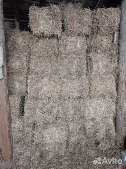 Сено в тюках