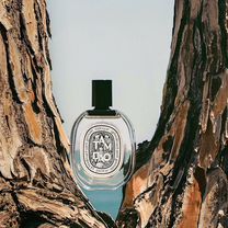 Tam Dao Diptyque тестер 100ml туалетная вода