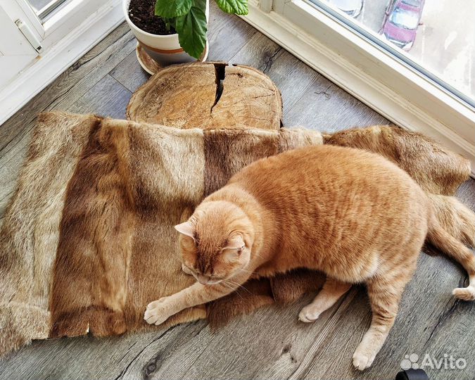 Куски натурального меха на поделки