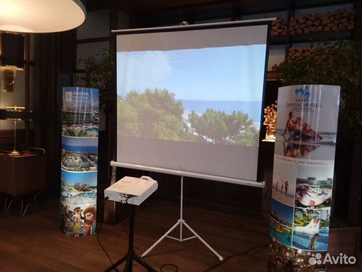 Аренда проектора и экрана