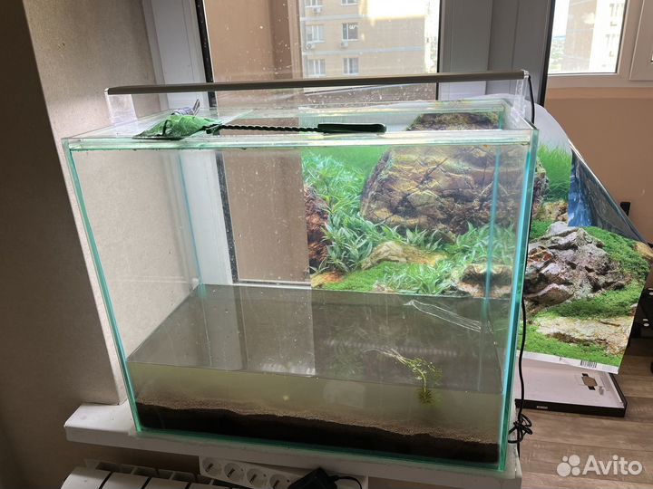 Аквариум