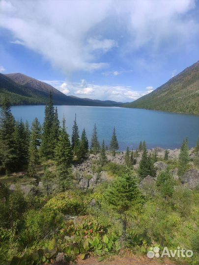 Трансфер, экскурсии по Горному-Алтаю