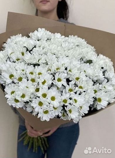 Хризантема