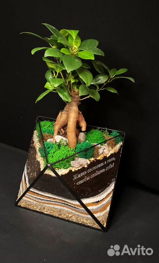 Флорариум. Дерево бонсай в октаэдре