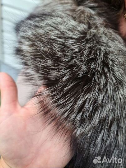 Воротник из чернобурки