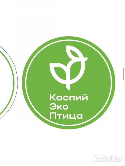Упаковщик на птицефабрику вахта