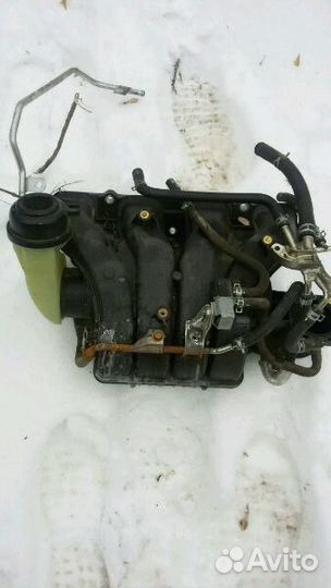 Коллектор витара