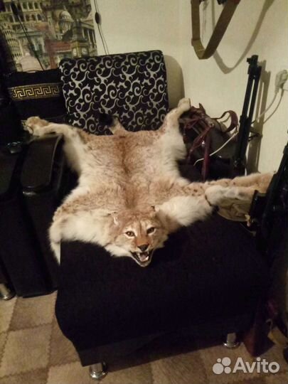 Ковёр. Цена за один