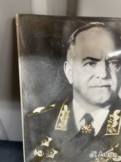 Портрет Жуков
