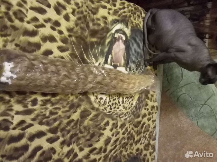 Афрокудри на трессах (материал)