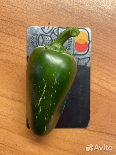 Семена перца халапеньо 200 шт