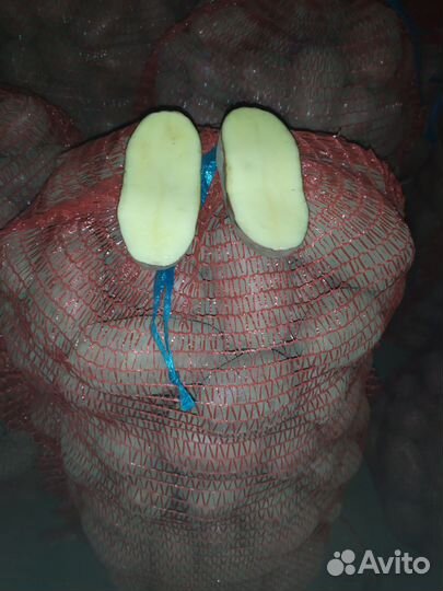 Продам картофель