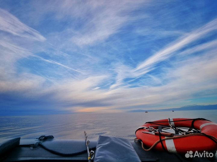 Рыбалка на Кольском. Треска, Горбуша