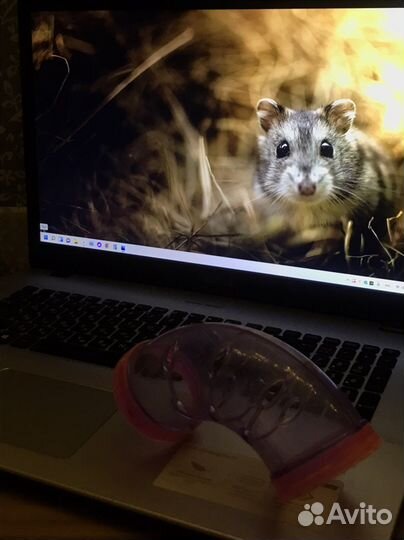 Тунель для хомяка