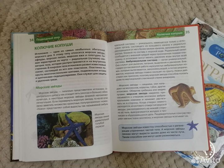 Детская энциклопедия росмэн