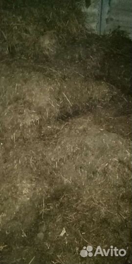 Навоз Бесплатно, самопогрузка, самовывоз