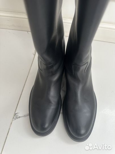 Сапоги 12 storeez