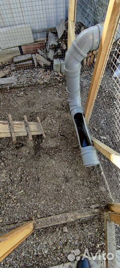 Курятник зимний