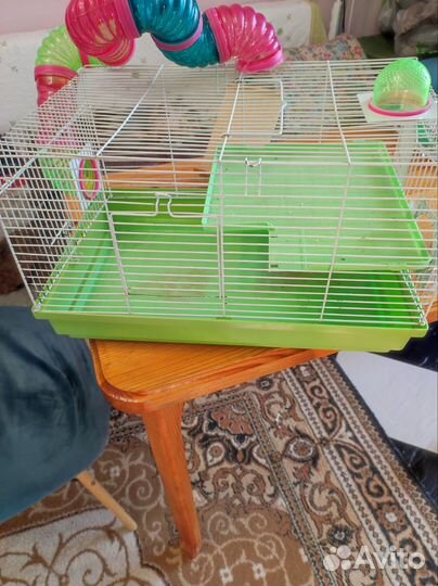 Клетка для грызунов бу