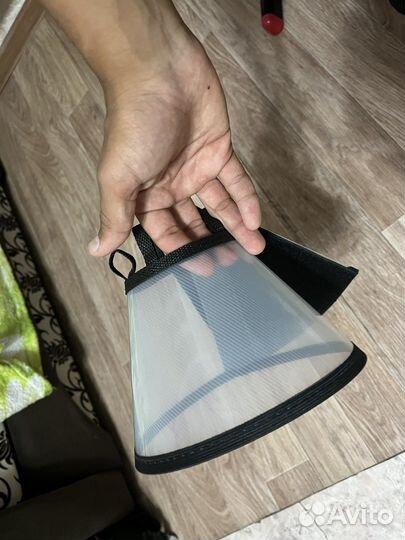 Кошачий воротник