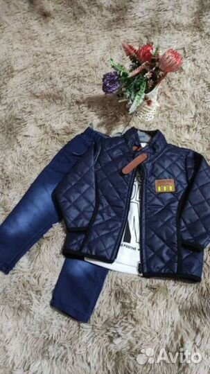 Тройка для мальчика димисезон