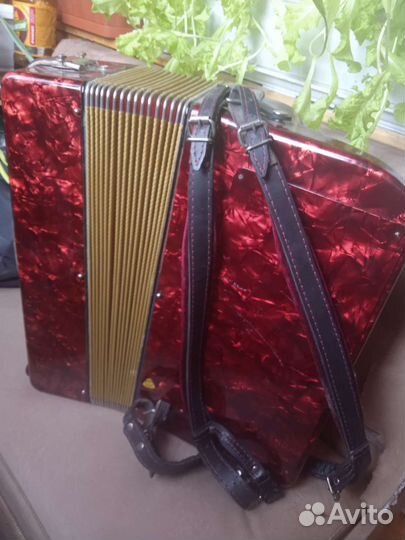 Баян weltmeister