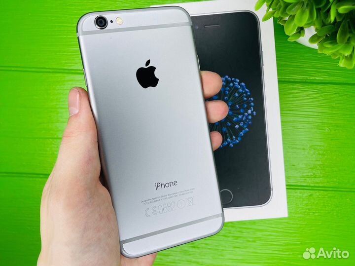 iPhone 6, 16 ГБ