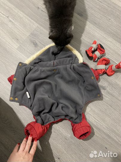 Одежда для собак